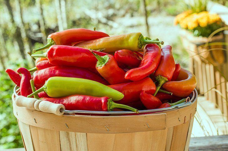 Different-types-of-banana-pepper-when-to-pick-banana-pepper