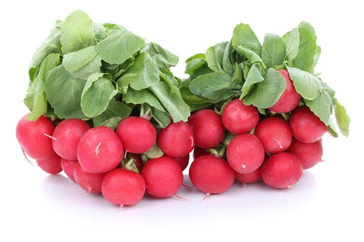 Fresh-red-radishes-in-a-plate-how-to-store-radishes