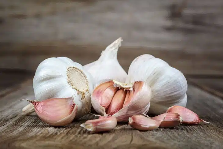 Garlic-bulbs-andcloves-on-wood-how-to-grow-garlic-indoors Garlic-bulbs-andcloves-on-wood-how-to-grow-garlic-indoors