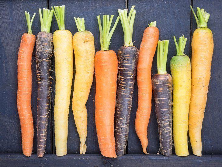 Types-of-carrots-what-does-carrot-sprout-look-like