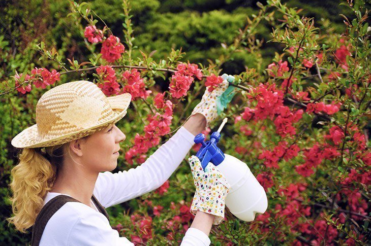 Woman-taking-care-of-her-plants-how-to-get-rid-of-mealybugs