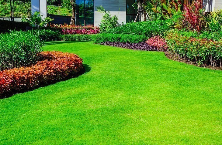 A-lawn-full-of-thick-lush-grass-how-long-for-grass-seed-to-germinate