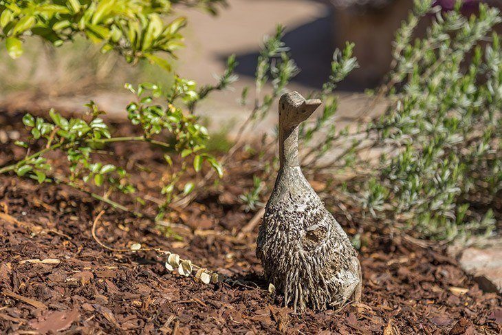 wooden duck decoy to deter birds