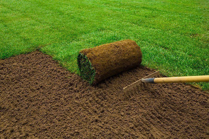 A man laying sod grass_How to Lay Sod over Existing Lawn