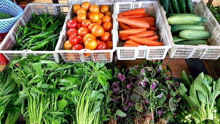 Unrefrigerated-vegetables-in-a-grocery-store-how-long-do-organic-carrots-last