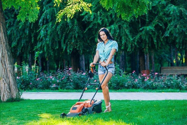 Lawn mowing: keep your garden neat and clean Lawn mowing: keep your garden neat and clean