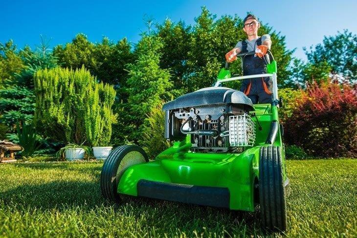 Lawn mowing: keep your garden neat and clean Lawn mowing: keep your garden neat and clean