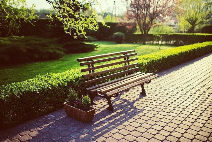 A-beautiful-and-green-garden-with-bench-to-sit-on-and-relax A-beautiful-and-green-garden-with-bench-to-sit-on-and-relax