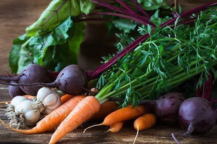 Bunch of fresh vegetables Bunch of fresh vegetables
