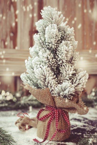 Christmas-tree-wrapped-in-burlap-and-red-bow-How-to-Put-Ribbon-on-a-Christmas -tree Christmas-tree-wrapped-in-burlap-and-red-bow-How-to-Put-Ribbon-on-a-Christmas -tree