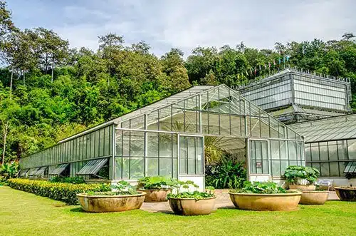 Green-house Green-house