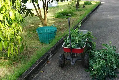 Red-wagon-carried-huge-loads-of-tree-branches,-gardening-tool,useful-tool Red-wagon-carried-huge-loads-of-tree-branches,-gardening-tool,useful-tool