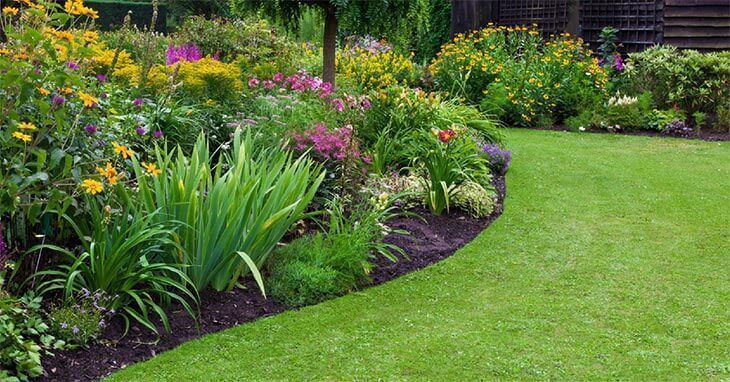 How to Pick the Best Plants for Your Landscape (Proven Tips In 2019) How to Pick the Best Plants for Your Landscape (Proven Tips In 2019)