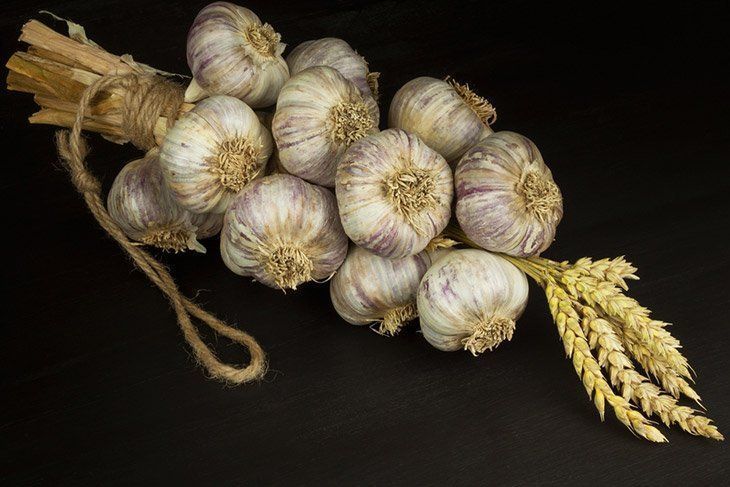 Garlic-bulbs-hanging-to-dry-in-braid-how-to-grow-garlic-indoors
