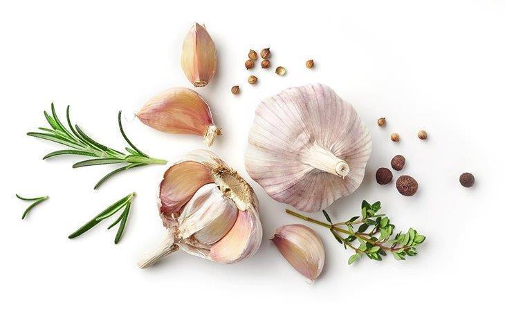 Head-of-garlic-and-cloves-on-white-background-how-many-cloves-in-a-head-of-garlic