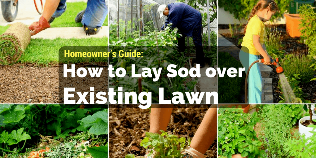 How to Lay Sod over Existing Lawn