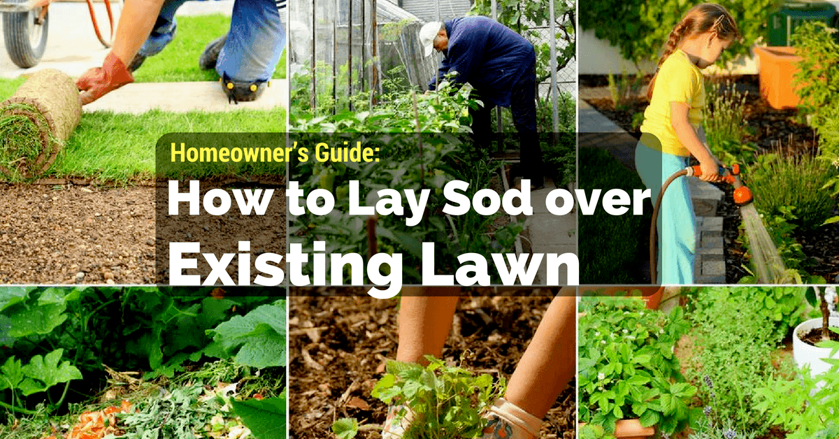 How to Lay Sod over Existing Lawn