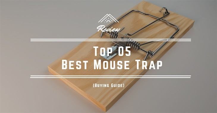 Best Mouse Trap