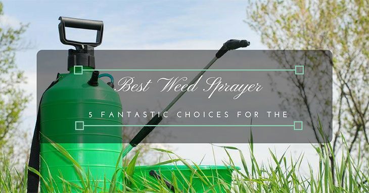 Best-Weed-Sprayer