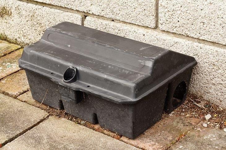  Mouse Baiting Traps