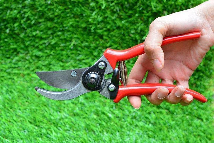 A-hand-holding-a-red-garden-pruner-best-hand-pruners