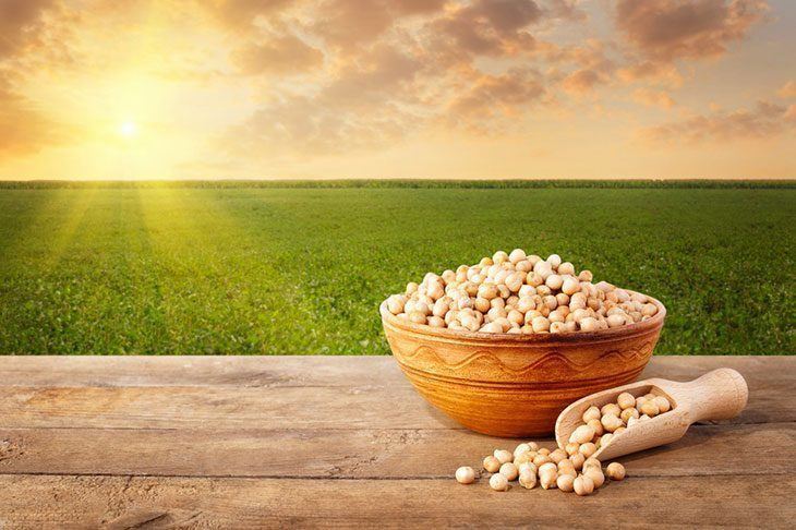 Chickpea-grains-in-a-bowl-on-the-wooden-table,-field-of-chickpeas-as-the-background-how-to-grow-chickpeas