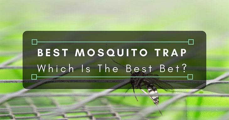 Best-Mosquito-Trap