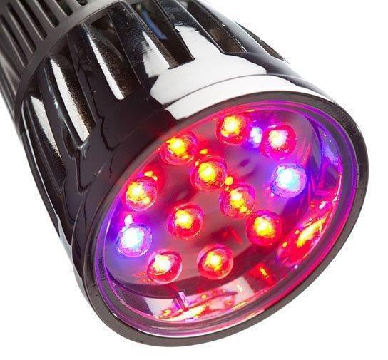 Easiness-of-Use-and-Flexibility-Best-Led-Grow-Light