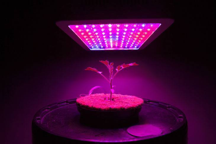 Full-Spectrum-LED-Lights-Best-Led-Grow-Light