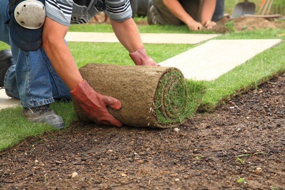 Landscaping Expert