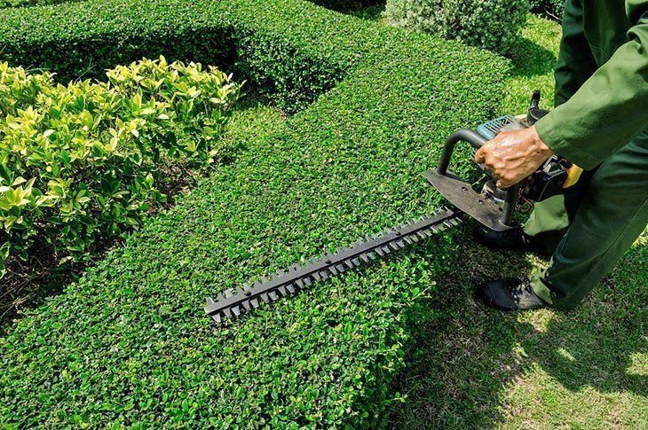 Landscaping-Service