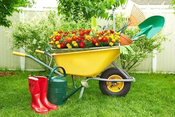 Landscaping-Tools