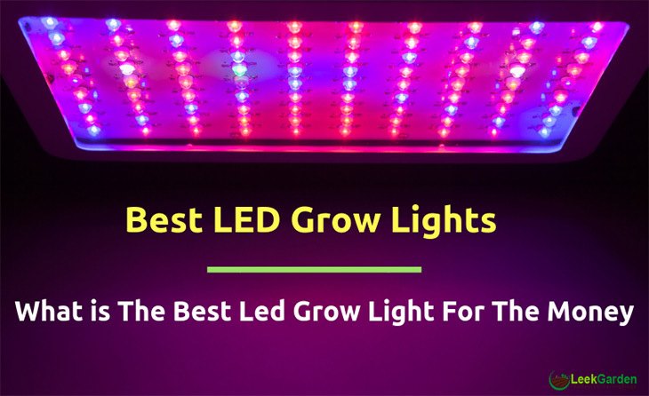 best LED grow lights