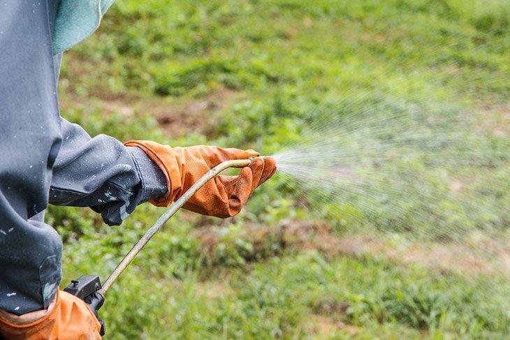 A man spraying herbicides