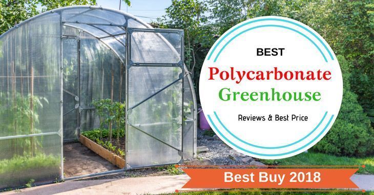 Polycarbonate Greenhouse Reviews 2019 Top 5 Expert Review Picks