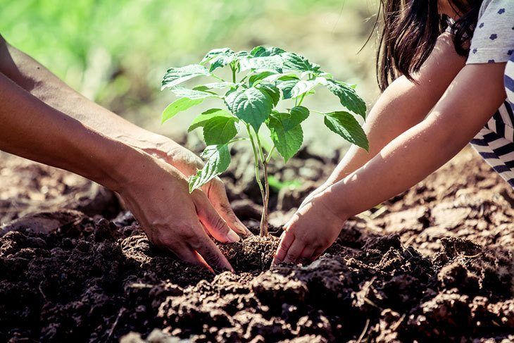 Asian-little-girl-helping-his-father-to-plant-the-tree-in-the-garden-as-save-world-concept