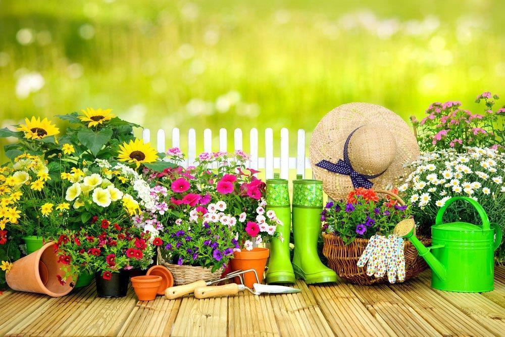 Gardening-tools-and-flowers-on-the-terrace-in-the-garden