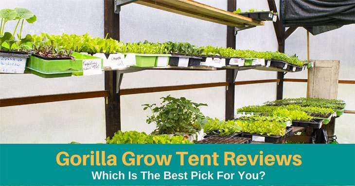 Gorilla Grow Tent Reviews