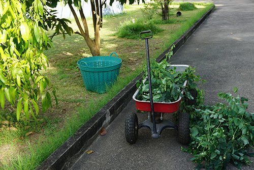 Red-wagon-carried-huge-loads-of-tree-branches,-gardening-tool,useful-tool