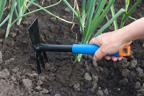The-hand-holding-the-gardening-tool