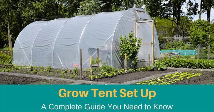 Grow-Tent-Setup