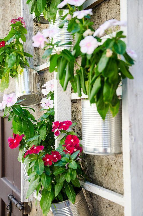  Plants on aluminium cans