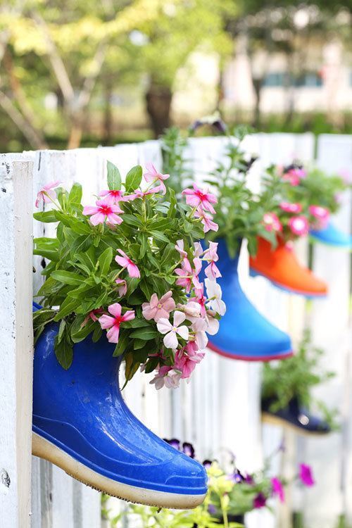 Plants on wellies