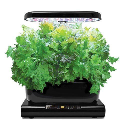 AeroGarden-Harvest-2015-with-Gourmet-Herb-Seed-Pod-Kit,-Black