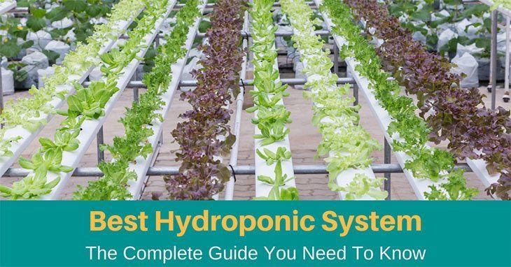 best hydroponic system