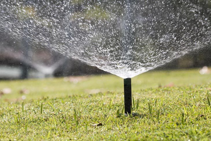 sprinkler-head-watering-in-park