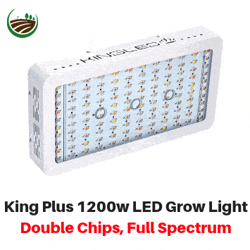 King-Plus-1200w-LED-Grow-Light-Double-Chips-Full-Spectrum-with-UV-and-IR-for-Greenhouse-Indoor-Plant-Veg-and-Flower