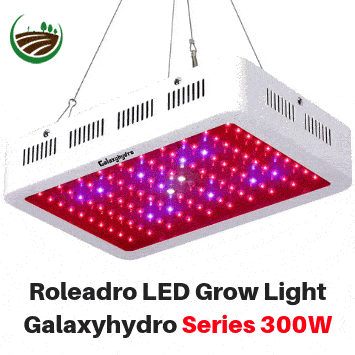 Roleadro-LED-Grow-Light,-Galaxyhydro-Series-300W-Indoor-Plant-Grow-Lights-Full-Spectrum-with-UV&IR-for-Veg-and-Flower