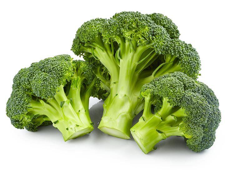 5 Vegetables You Can Still Grow Over Winter 5 Vegetables You Can Still Grow Over Winter