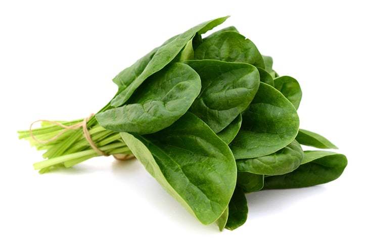 5 Vegetables You Can Still Grow Over Winter 5 Vegetables You Can Still Grow Over Winter